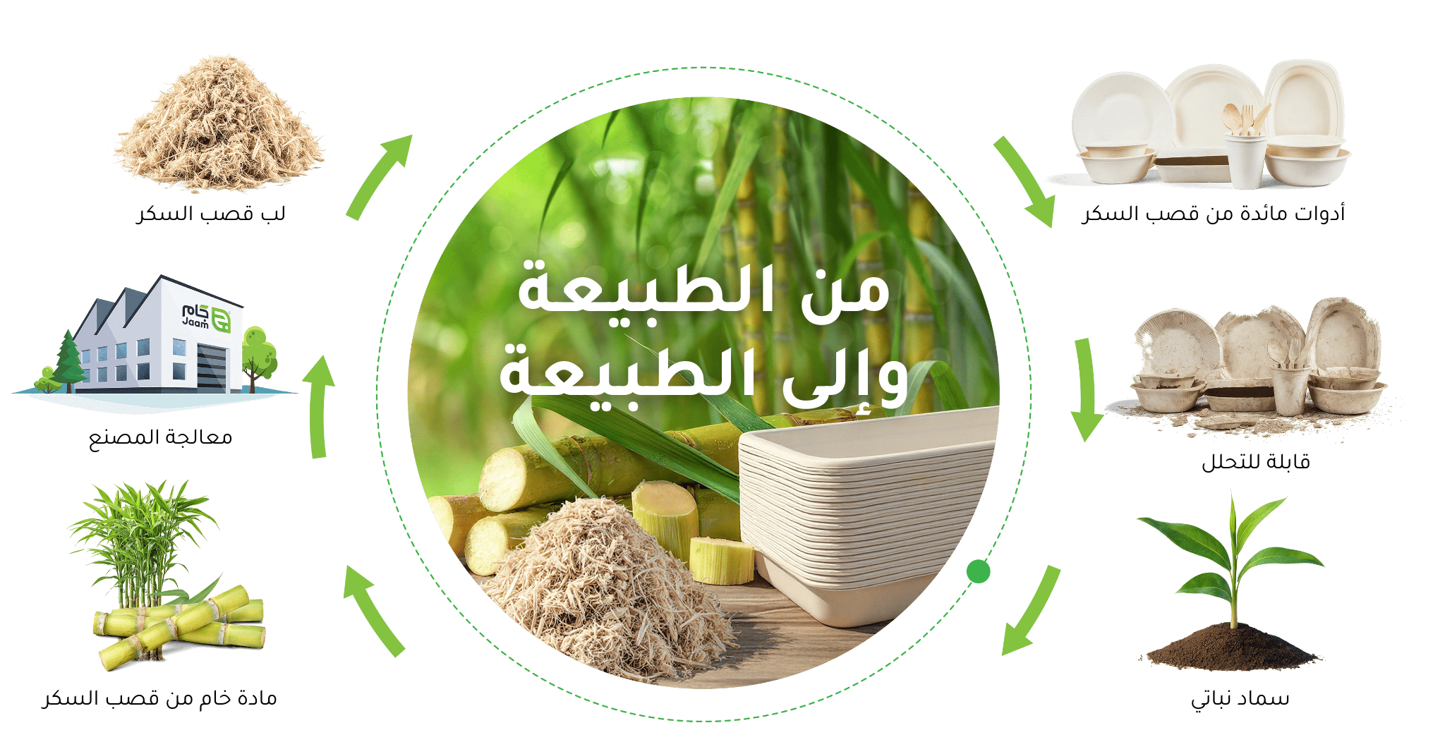 From nature to nature (1)