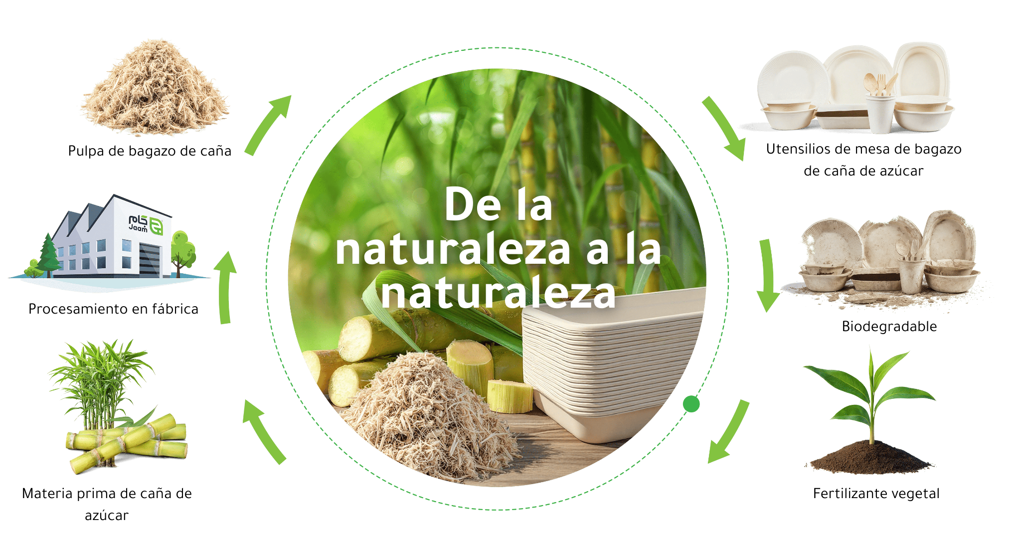 From nature to nature (2)