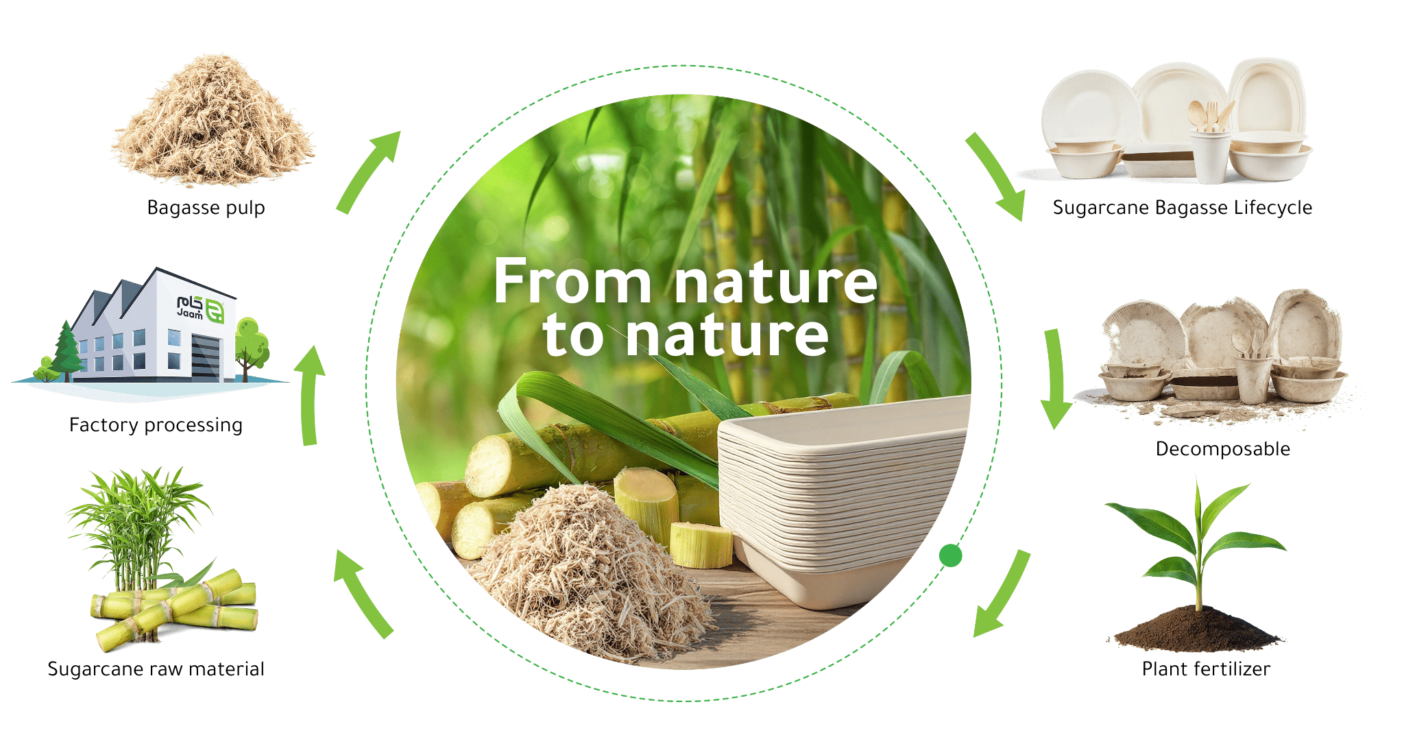 From nature to nature