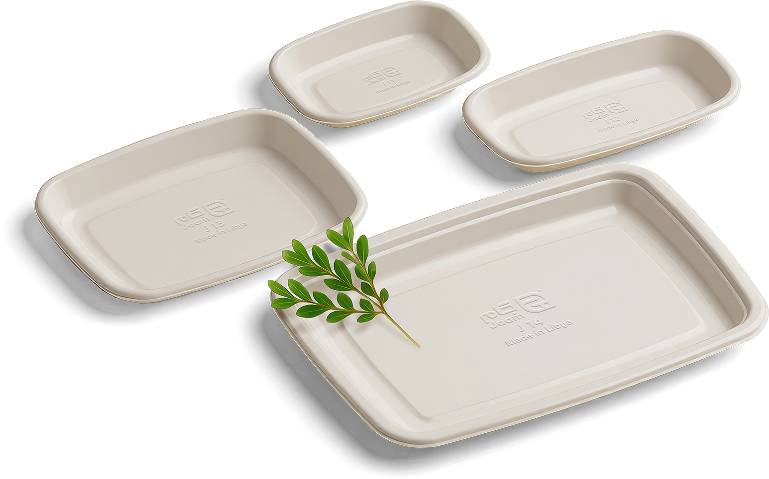 صورة السلايد