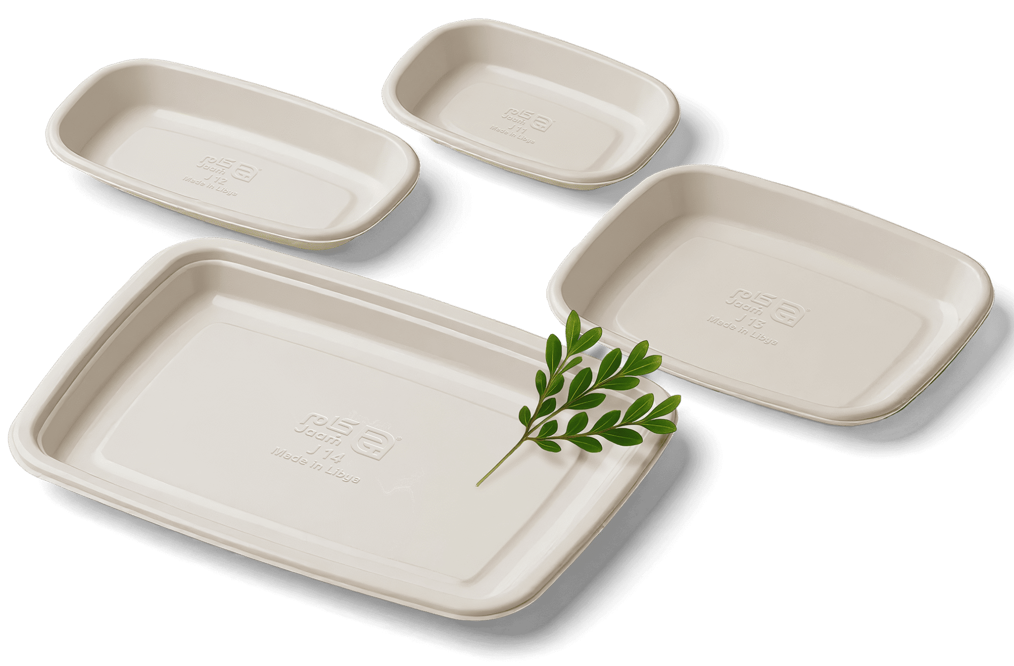 صورة السلايد